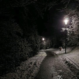 Welcome to ... @.partyy_aaddict pagee! click on the next page button to navigate !