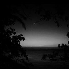 Fav. Music Artists: Millionaires, Ayesha Erotica, Sir-Mix-A-Lot, FXRCE Etc! ──── Media: Youtube, Spotify, Tiktok, Facebook, etc.